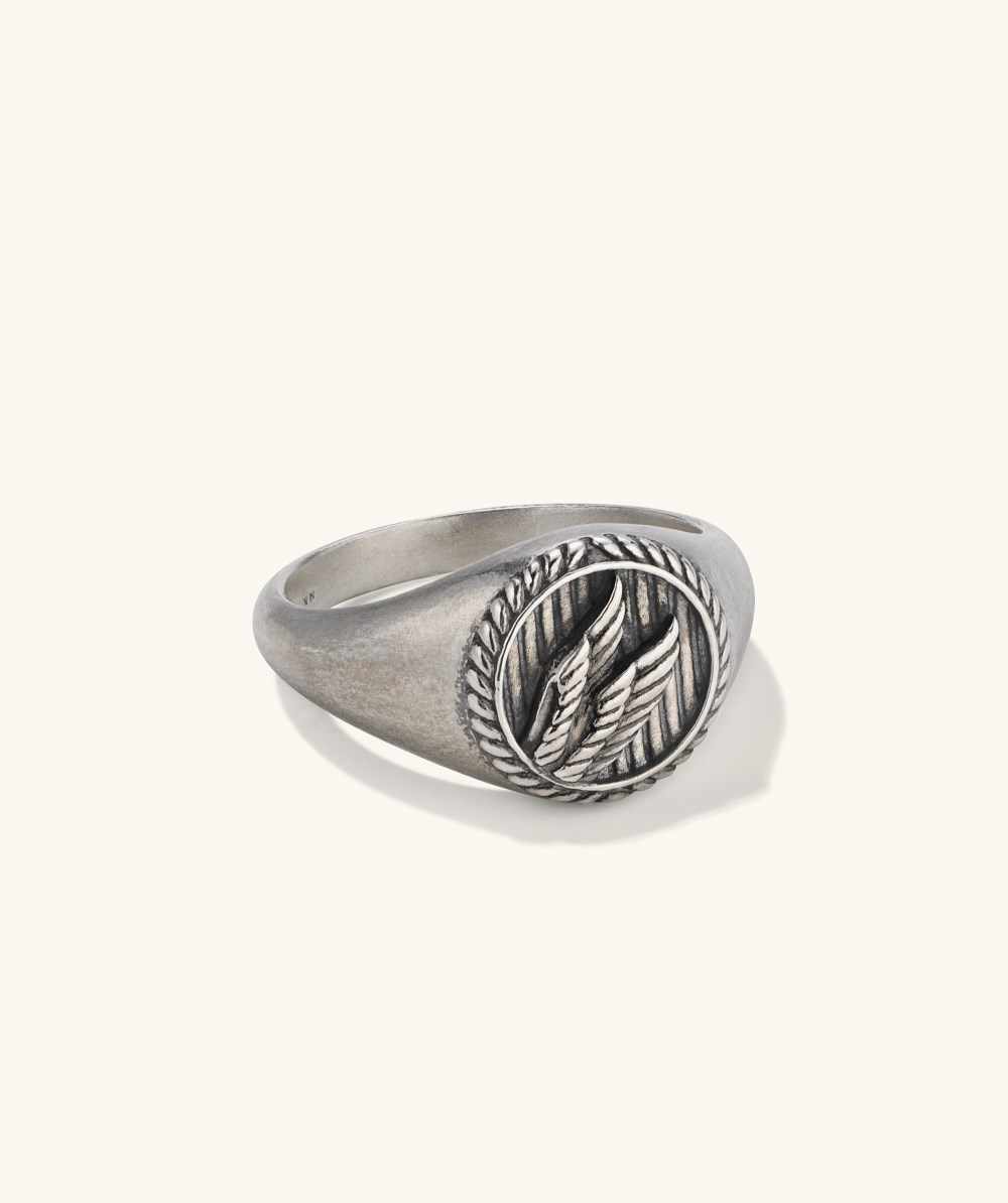 Mejuri Victory Signet Ring - Oxidized Sterling Silver Canada Store